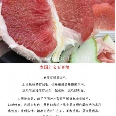 红宝石红柚-仙蜜果值得购买-红宝石红柚多少钱