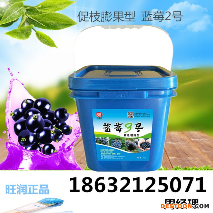 旺润 蓝莓 蓝莓专用肥 蓝莓肥料 冲施肥 促进蓝莓生长 桶装肥料