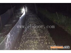 青蛙养殖公司-青蛙养殖-半亩田有限责任公司(查看)