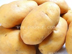 信阳市高产马铃薯种子基地-雪原农业科技种子好