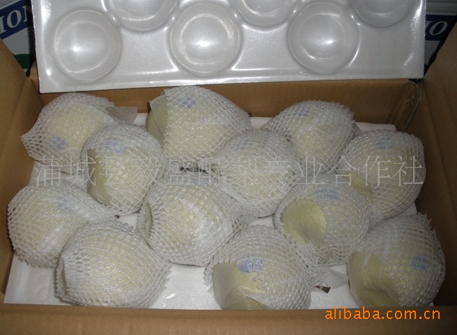 精品酥梨.生产加工储藏