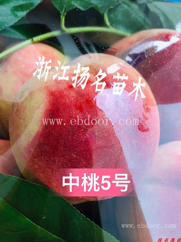 水蜜桃苗多少一颗-扬名苗木(在线咨询)-重庆湖景蜜露水蜜桃苗