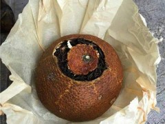 新会陈皮东甲陈皮多少钱一斤|御广陈-CCTV推广品牌_新会陈皮供应