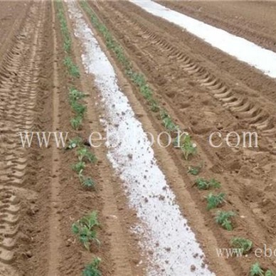 种植机批发-青州军岩移栽机-药材种植机批发