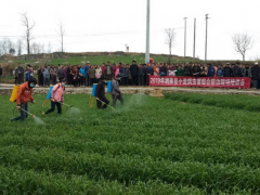 纳雍县召开小麦病虫害综合防治现场培训会