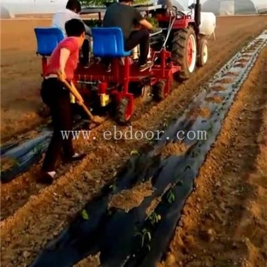 甘蓝种植机厂家直营-甘蓝种植机-军岩移栽机销售(查看)