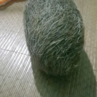 宜昌哪 里有长期收购猪砂的地方