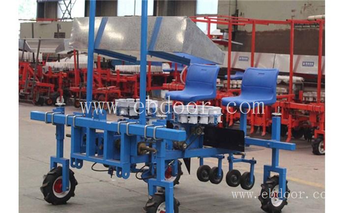 娃娃菜种植机厂家直营-军岩移栽机(在线咨询)-娃娃菜种植机