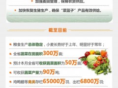 【图解】备春耕促复工 中原固天下足