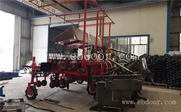 菊花种植机批发-博湖菊花种植机-军岩移栽机销售