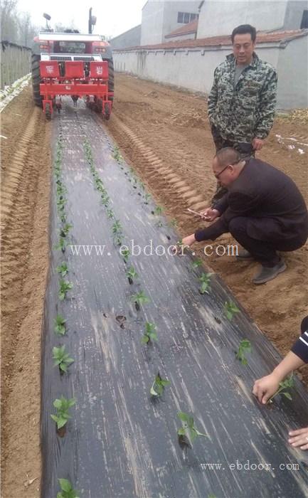 赤芍种植机厂家直营-兵团十六团赤芍种植机-军岩移栽机供应