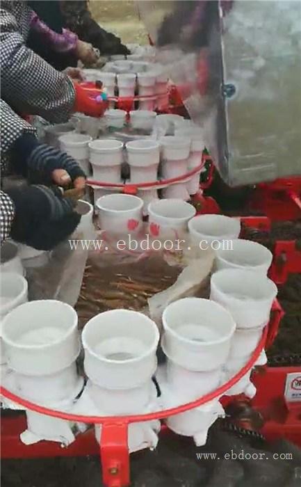 菊花种植机批发-种植机批发-山东青州军岩移栽机