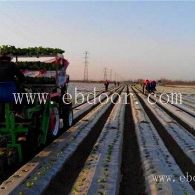 甘蓝种植机-种植机-山东青州军岩移栽机