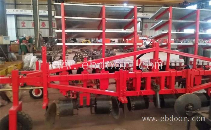 甘肃西兰花种植机-山东青州军岩移栽机-西兰花种植机批发