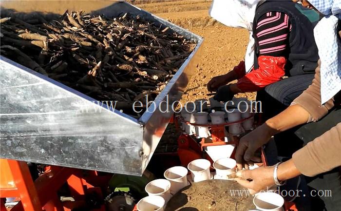 呼伦贝尔白芍种植机厂家直营性价比高「多图」