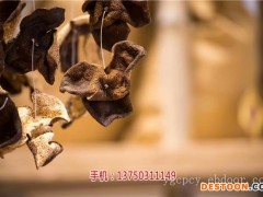 新会陈皮十大影响力品牌御广陈厂家批发零售_新会陈皮哪家出名