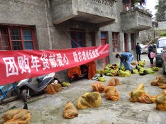 岚皋：农业农村局干部职工集中“扫年货”