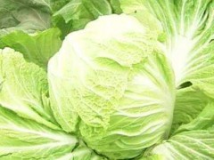 滏河贡白菜 - 河北邢台有哪些特产