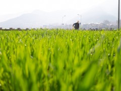 防疫不松劲 春耕不误时-襄阳晋中市农业农村局