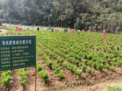 宜都农业人为民办实事解难题到田间地头