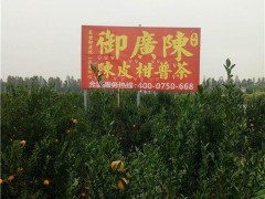 10年新会陈皮价格一斤|御广陈-CCTV推广品牌_新会陈皮价格一斤