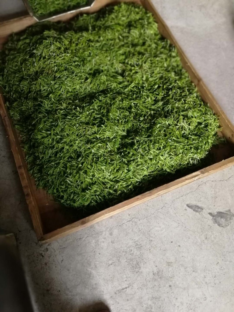 仙寓山特产石台富硒茶