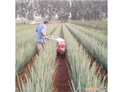 大葱开沟机 金佳大葱培土机厂家 大葱封沟机 大葱培土机