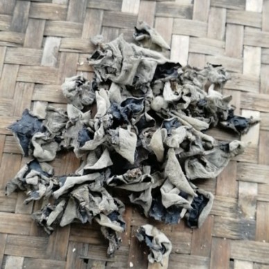 仙寓山特产石台木耳