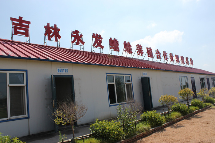 养殖蟾蜍项目投资少收入稳定，适合农村小型创业