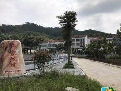 武穴市：【美丽乡村】创新开展 美丽龟山