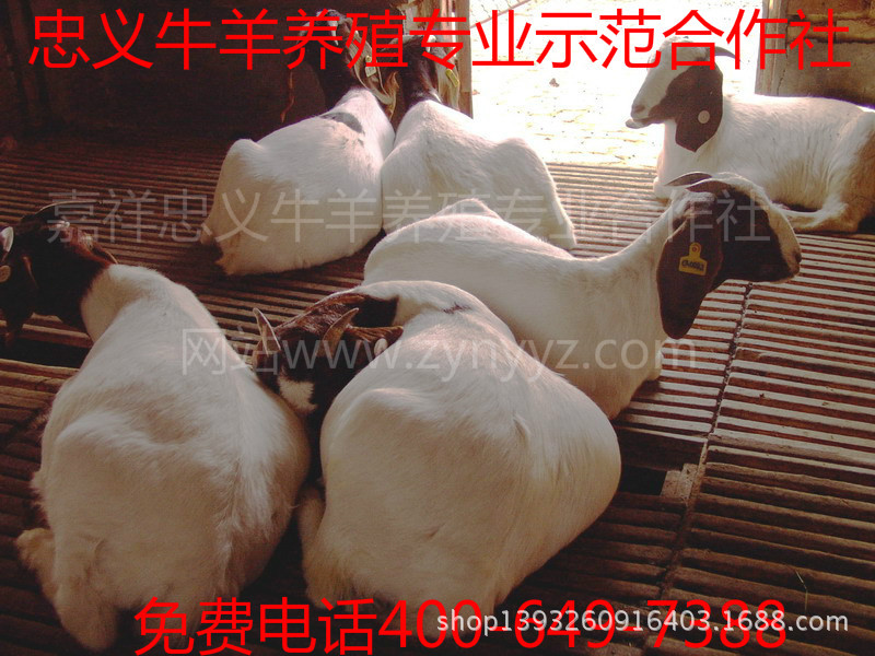 757241023_1305181090