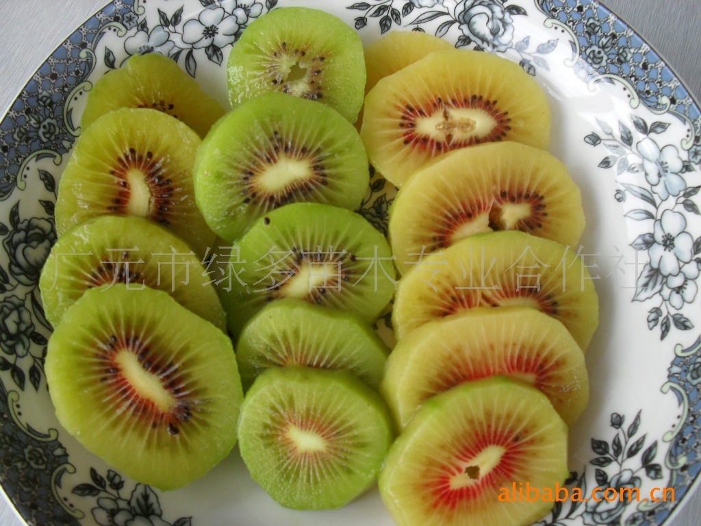 供应果树 果树种子种苗 果树苗 果树苗木 红心猕猴桃苗