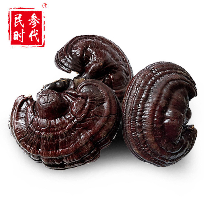 灵芝上灵芝长白山灵芝价格灵芝二道粉