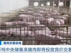 4万吨中央贮藏冻猪肉马下去了
