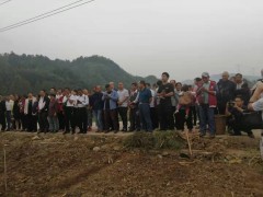 县农业乡村局大力推行油菜机播技术