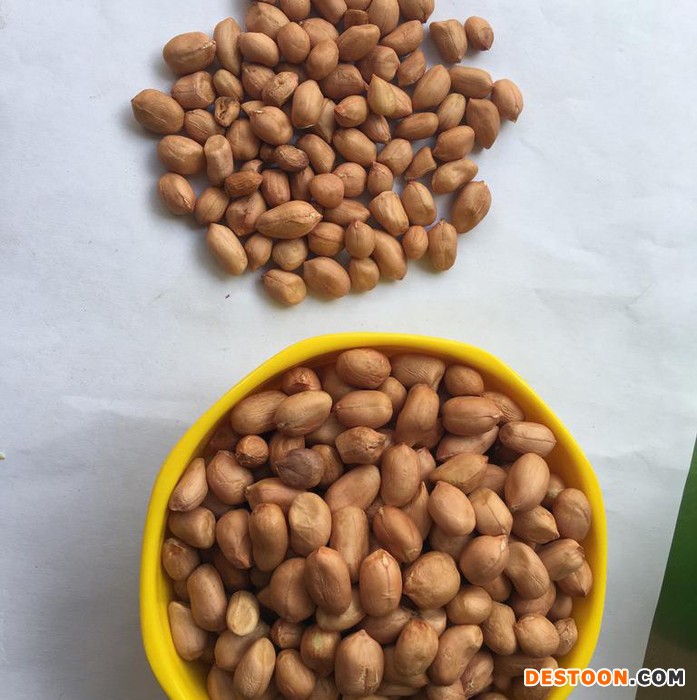 云启坤 缅甸优质进口白花生  煲汤 补齐  佳品 粒大饱满优质白花生