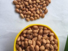 云启坤 缅甸优质进口白花生  煲汤 补齐  佳品 粒大饱满优质白花生