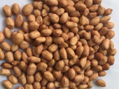 云启坤 缅甸优质进口白花生  煲汤 补齐  佳品  粒大饱满优质白花生