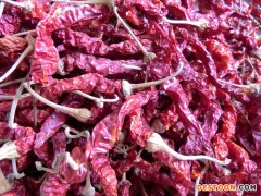 供应干辣椒辣椒机械