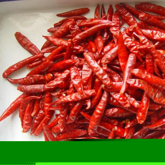 干辣椒厂家供应金杞牌干辣椒 红辣椒 辣椒种植