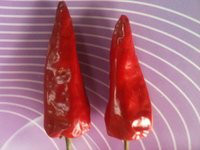 红辣椒-北京红 辣椒 鲜辣椒 干辣椒 辣椒 红辣椒