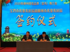 宝鸡鹤壁市农业农村局与柳州鹤壁市农业农村局签署现代农业协作协议-宝鸡鹤壁市农业农村局
