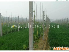 农业喷灌系统厂家-农业喷灌系统- 武汉欣农科技(查看)