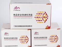 达元 蜂蜜蔗糖快速检测盒 100份次/盒|蜂蜜掺假检测|蜂蜜纯度检测|蜂蜜检测|厂家直销