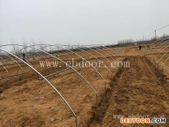 蚂蚱大棚-大昆农业科技有限公司-蚂蚱大棚的规格