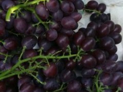 [供]自家种植优质有核玫瑰香葡萄开售啦