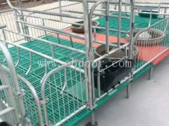 定制母猪产床-母猪产床-恒泰农牧设备良心企业