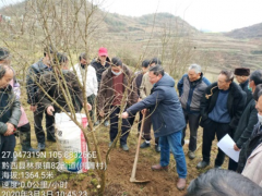 毕节晋中市农科所科技小分队效力产业忙