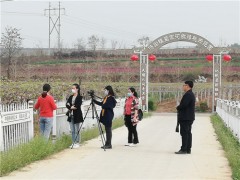 眉县：西农大专家来眉指点猕猴桃溃疡病