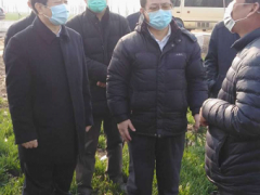 省农业农村厅厅长李希信来我晋中市调研春季农业消费义务